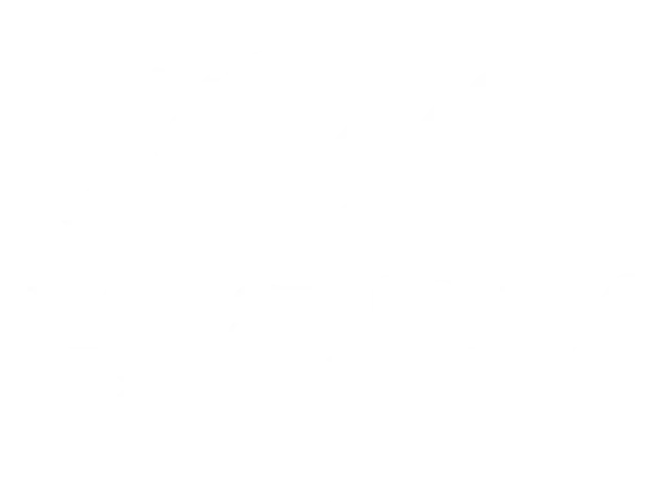 RajasthanX.com — a TourTripX venture