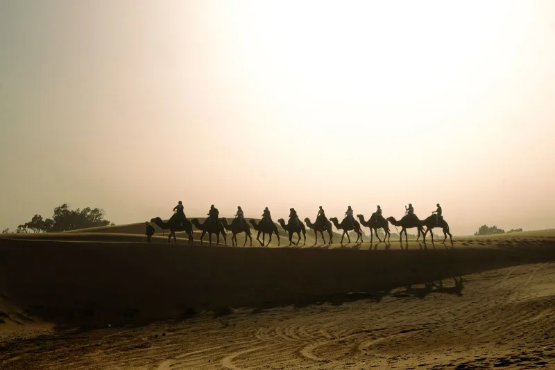 A camel caravan crossing the dunes at sunset
