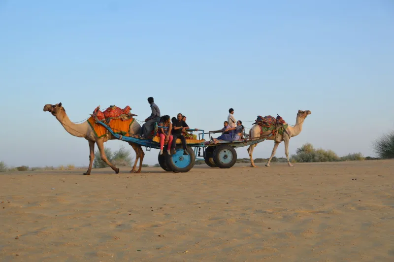 Camel silhouettes on the Sam sand dunes of the Thar desert
