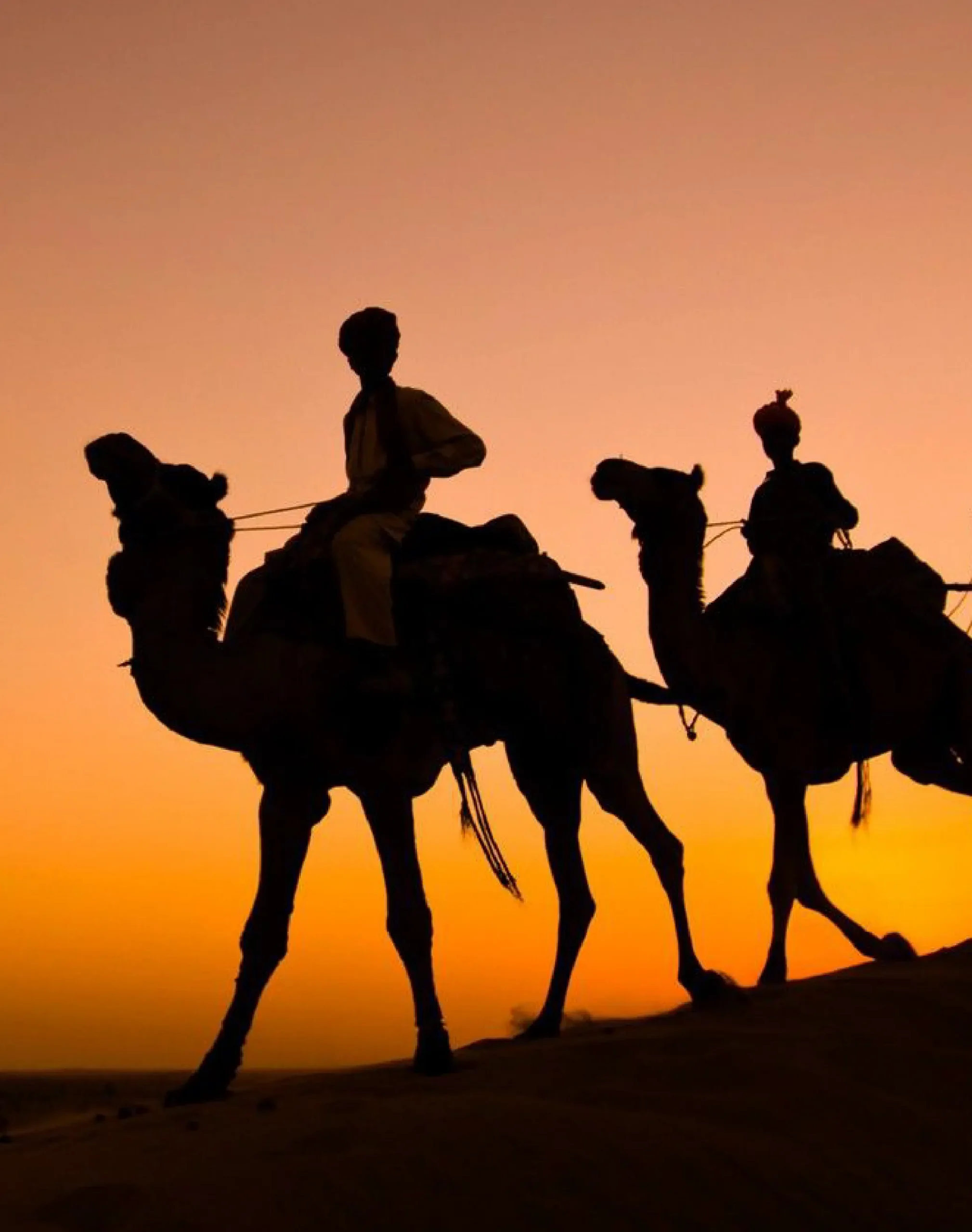 rajasthan tour packages service